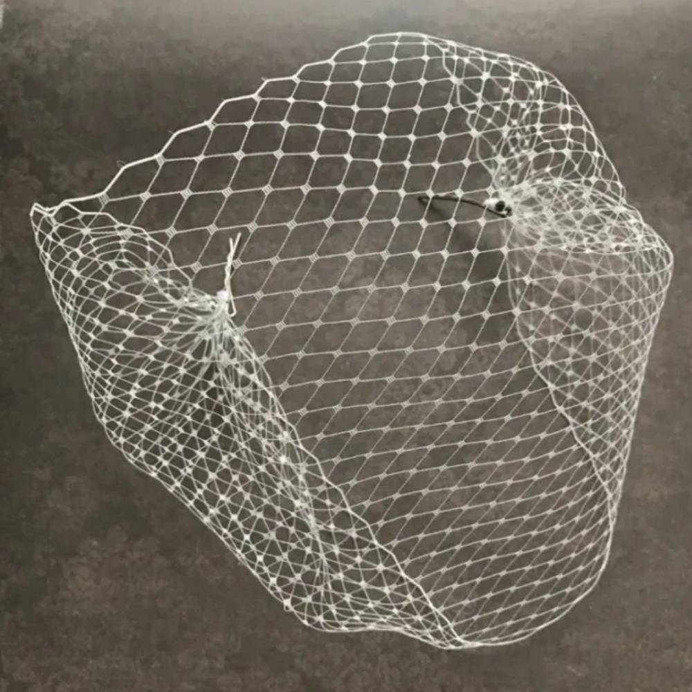Simple Birdcage Veil